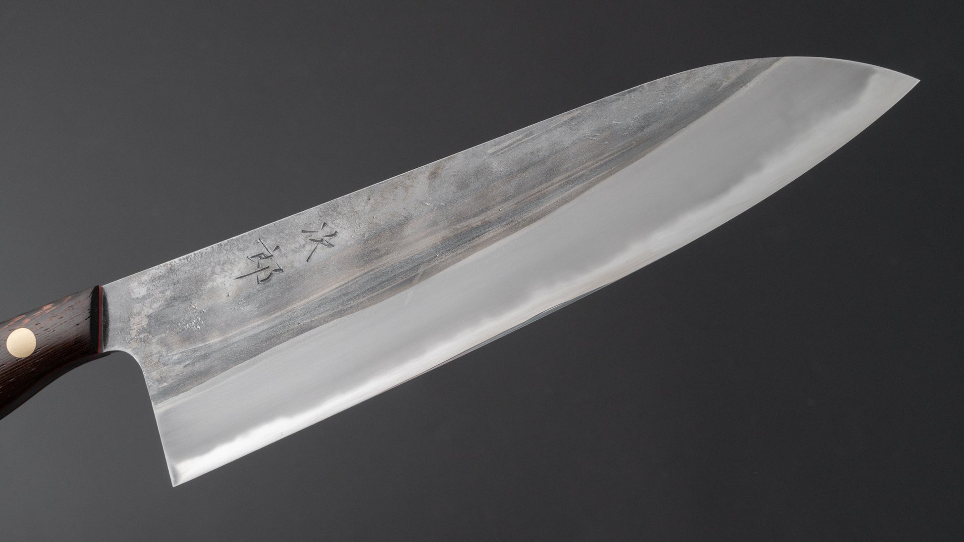 Jiro Tsuchime Yo Gyuto 225mm Tagayasan Handle (#469) - HITOHIRA