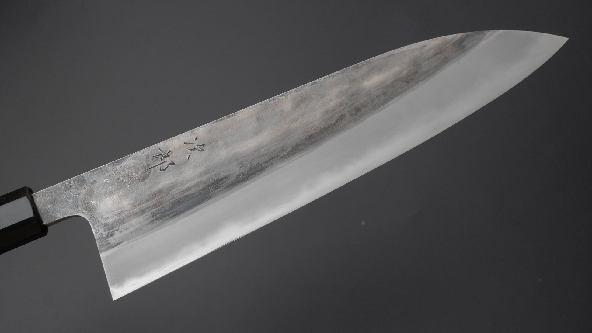 Jiro Tsuchime Wa Gyuto 255mm Taihei Tagayasan Handle (#504) - HITOHIRA