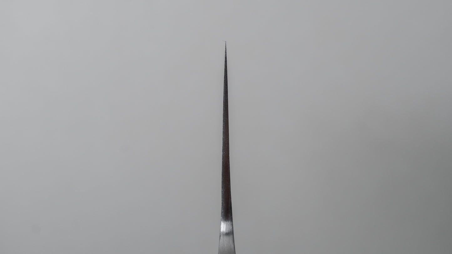 Jiro Tsuchime Wa Gyuto 255mm Taihei Tagayasan Handle (#504) - HITOHIRA