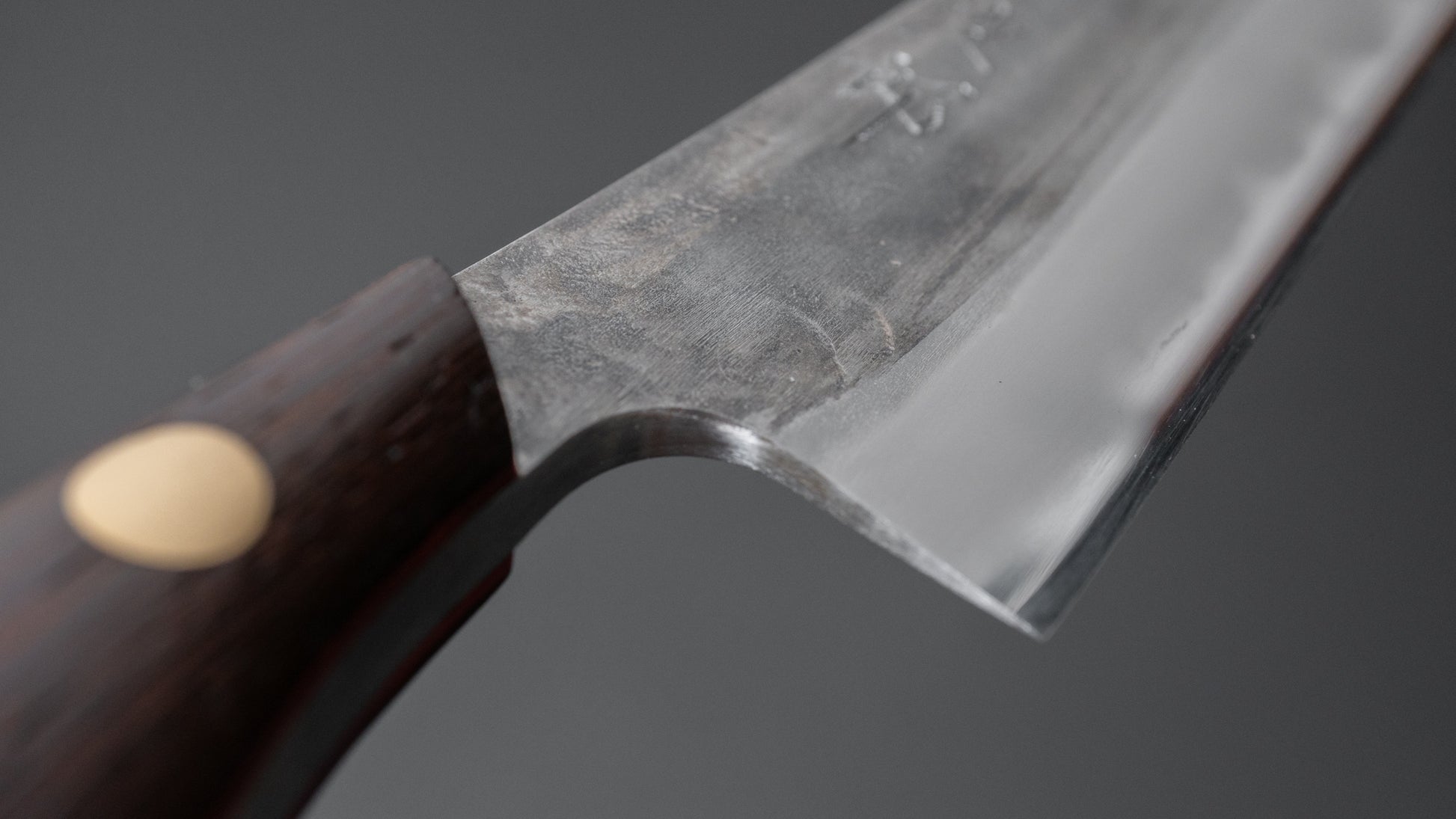 Jiro Tsuchime Yo Sujihiki 210mm Tagayasan Handle (#523) - HITOHIRA