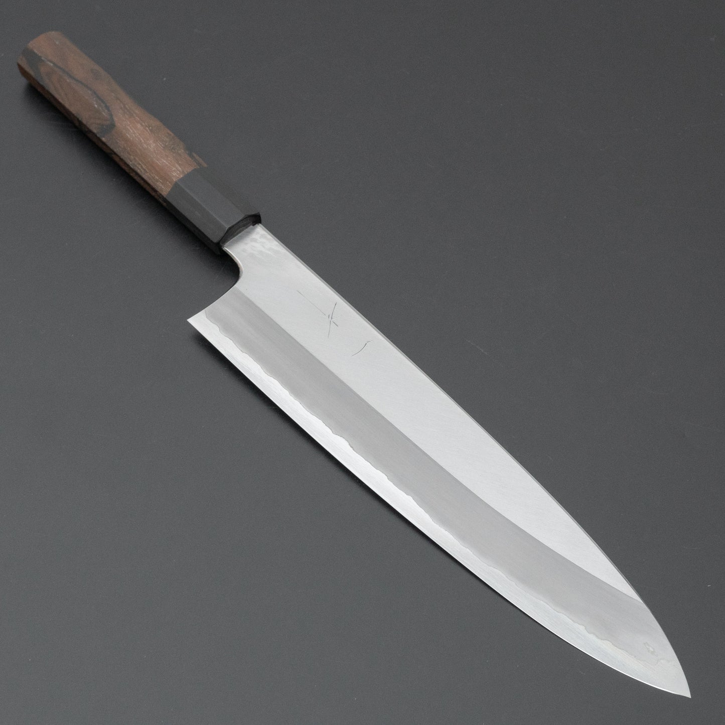 Hitohira Togashi Blue #1 Stainless Clad Migaki Gyuto 270mm Ziricote Handle - HITOHIRA