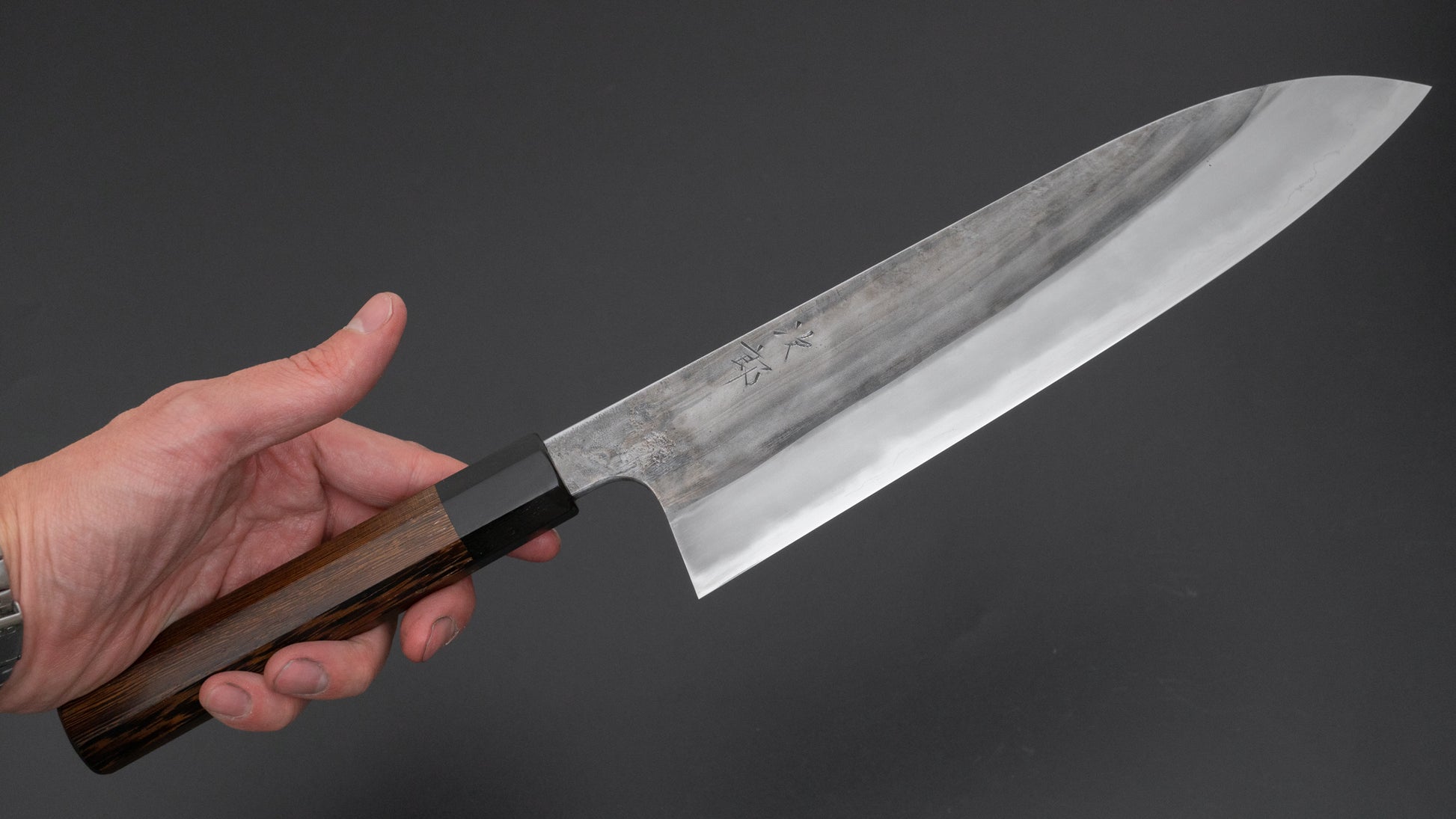 Jiro Tsuchime Wa Gyuto 240mm Taihei Tagayasan Handle (#590) - HITOHIRA