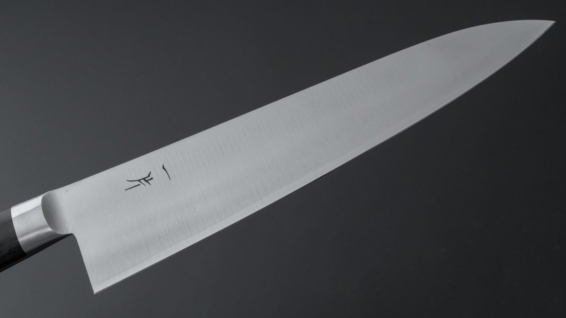 Hitohira FJ SG2 Gyuto 210mm Pakka Handle - HITOHIRA