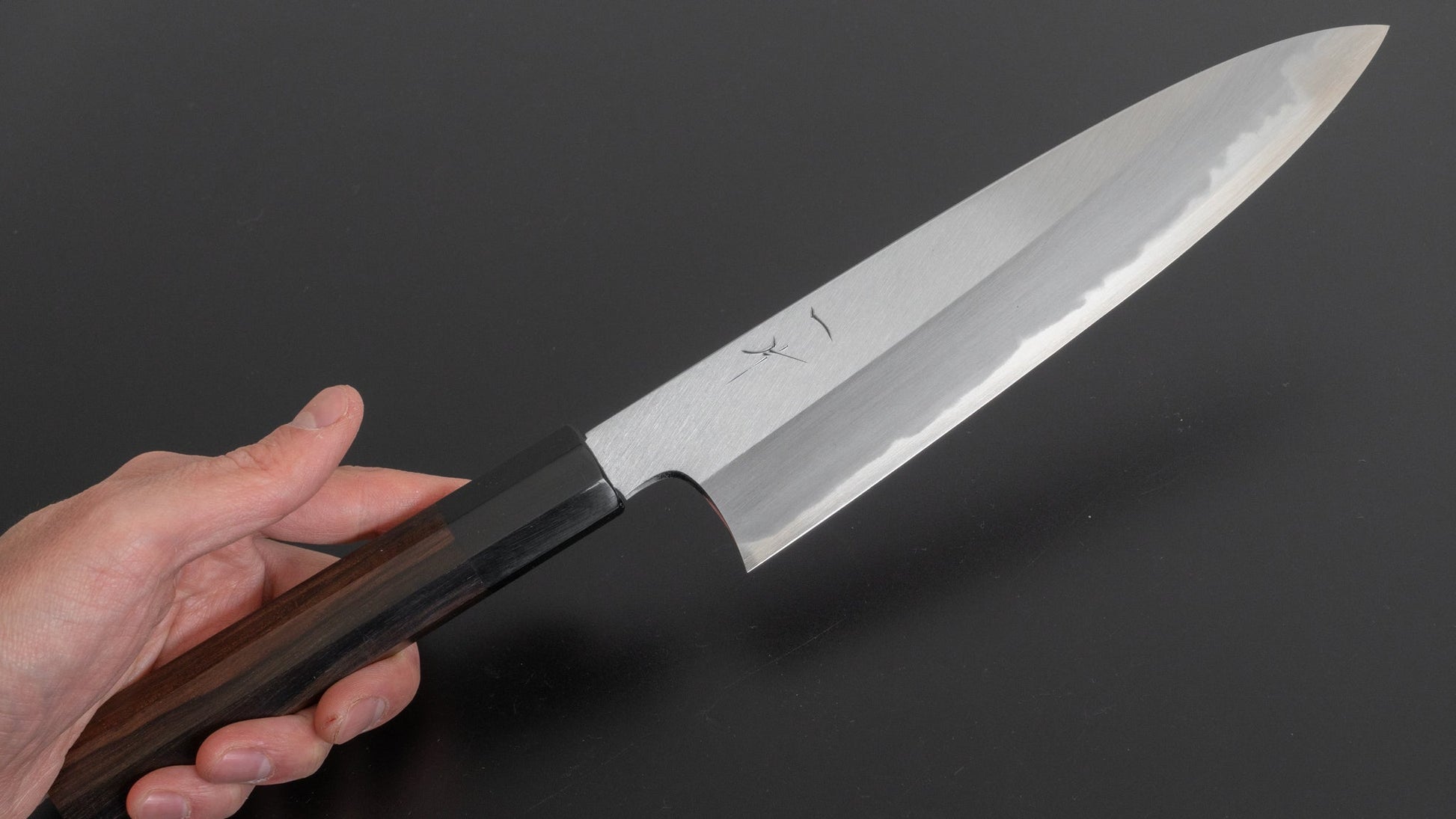 Hitohira Togashi White #1 Migaki Gyuto 210mm Taihei Makassar Ebony Handle (Discounted) - HITOHIRA