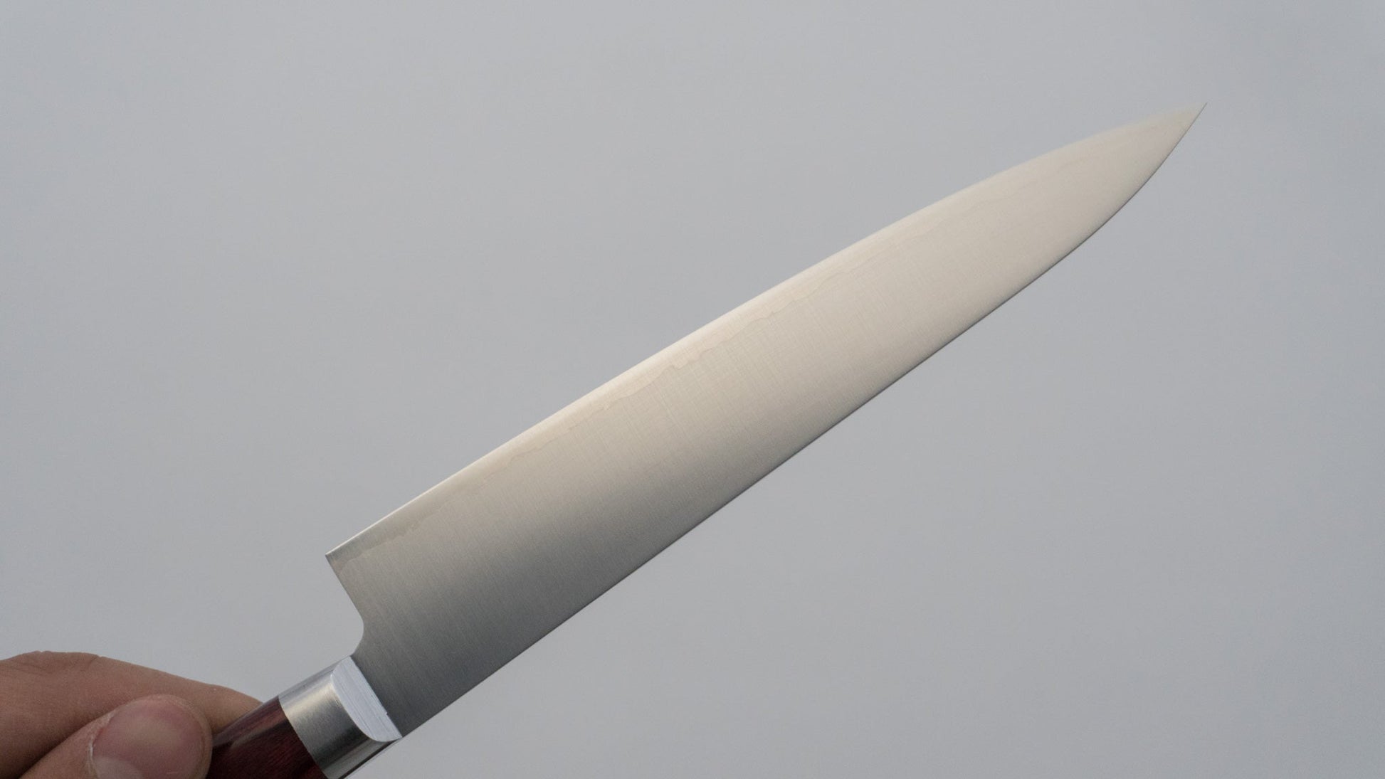 Hitohira TP Petty 150mm Wine Pakka Handle - HITOHIRA