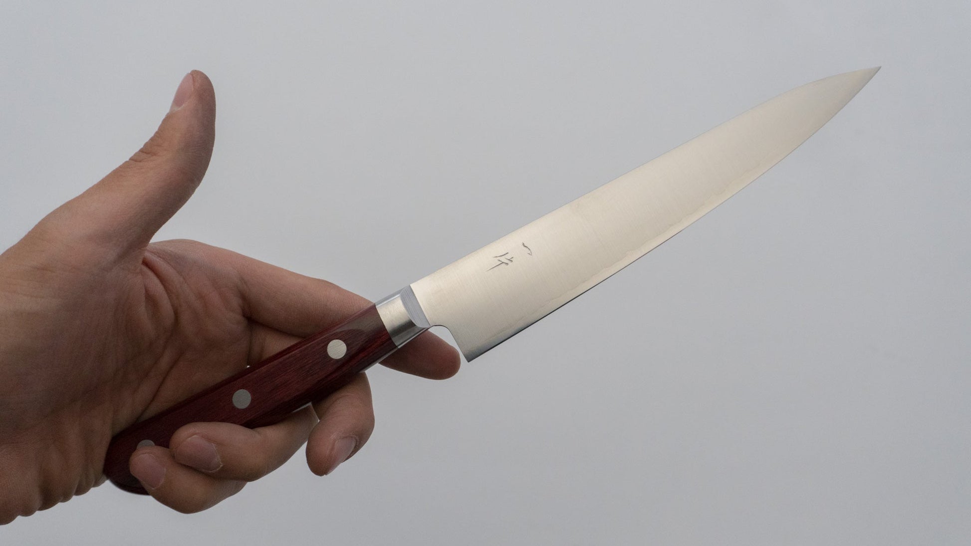 Hitohira TP Petty 150mm Wine Pakka Handle - HITOHIRA