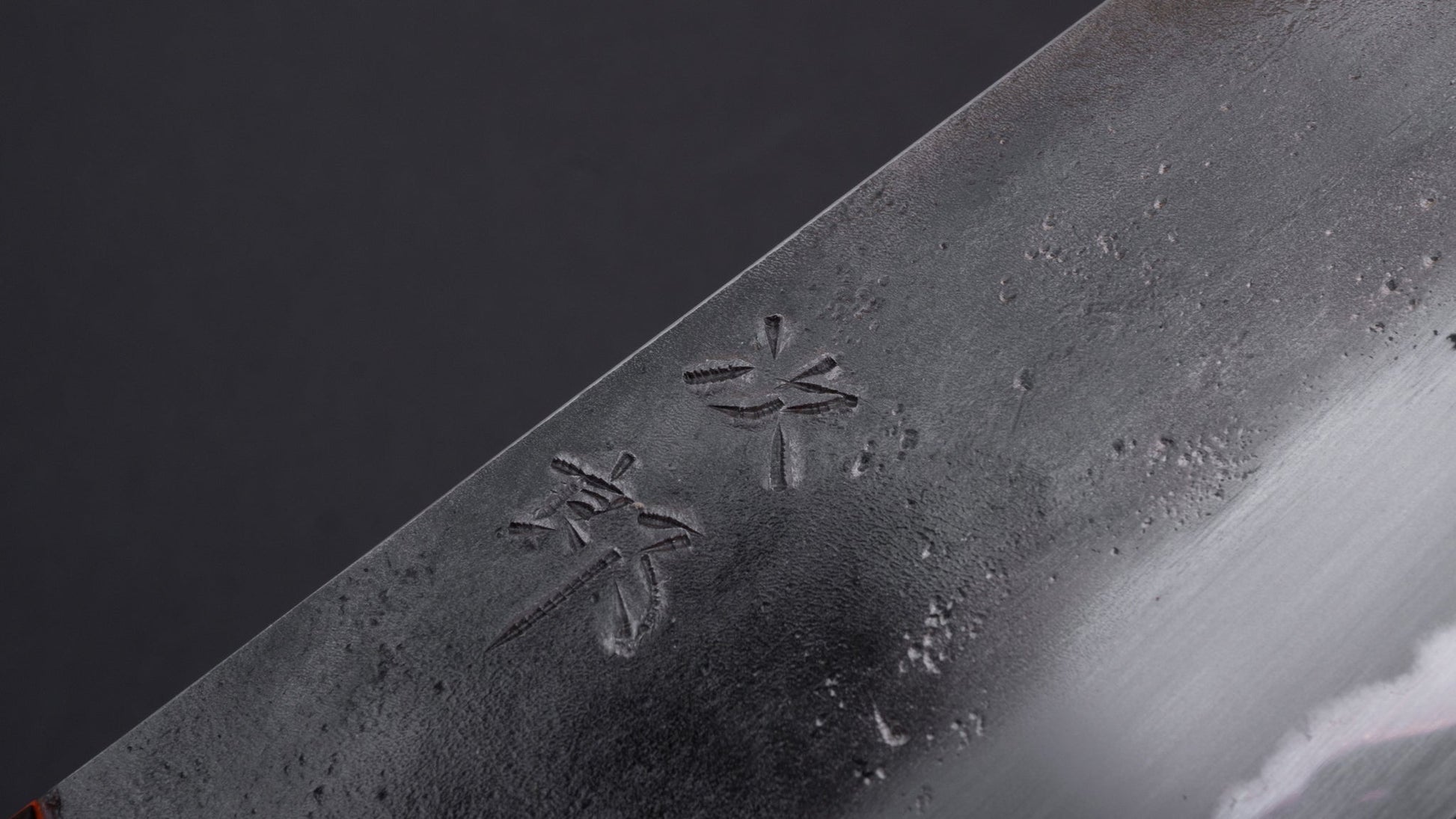 Jiro Tsuchime Yo Gyuto 210mm Tagayasan Handle (#033) | HITOHIRA