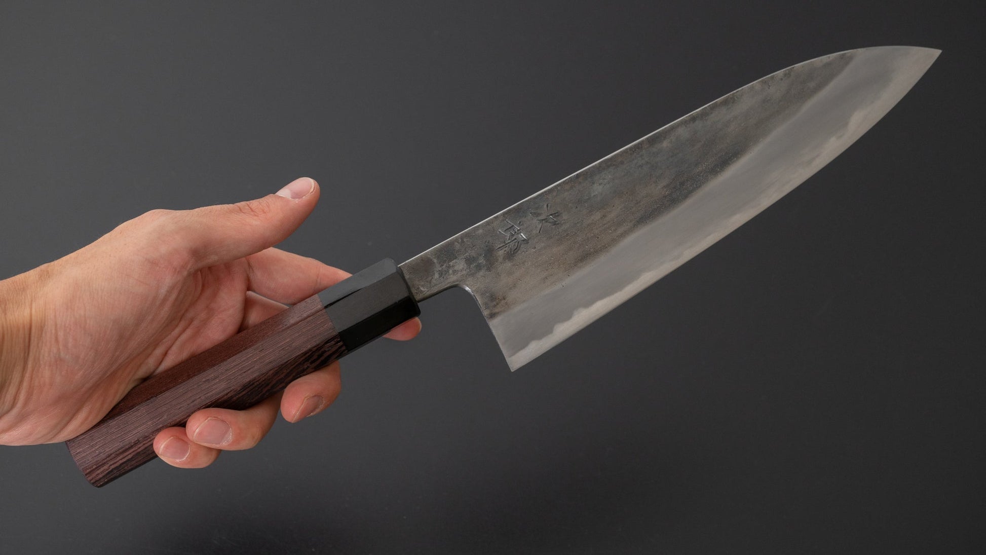 Jiro Tsuchime Wa Gyuto 210mm Taihei Tagayasan Handle (#145) | HITOHIRA