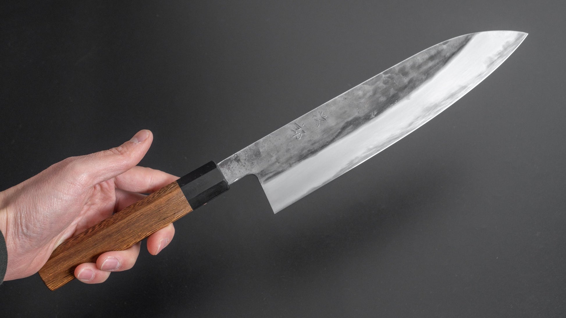 Jiro Tsuchime Wa Gyuto 240mm Taihei Tagayasan Handle (#216) - HITOHIRA