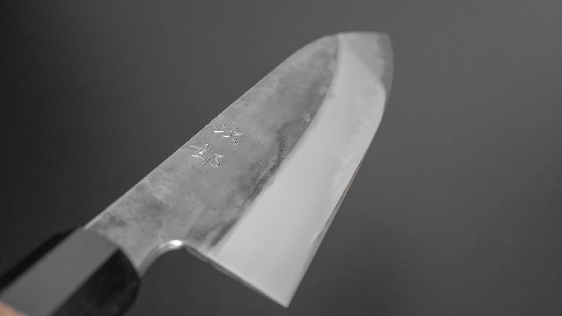 Jiro Tsuchime Wa Gyuto 240mm Taihei Tagayasan Handle (#216) - HITOHIRA