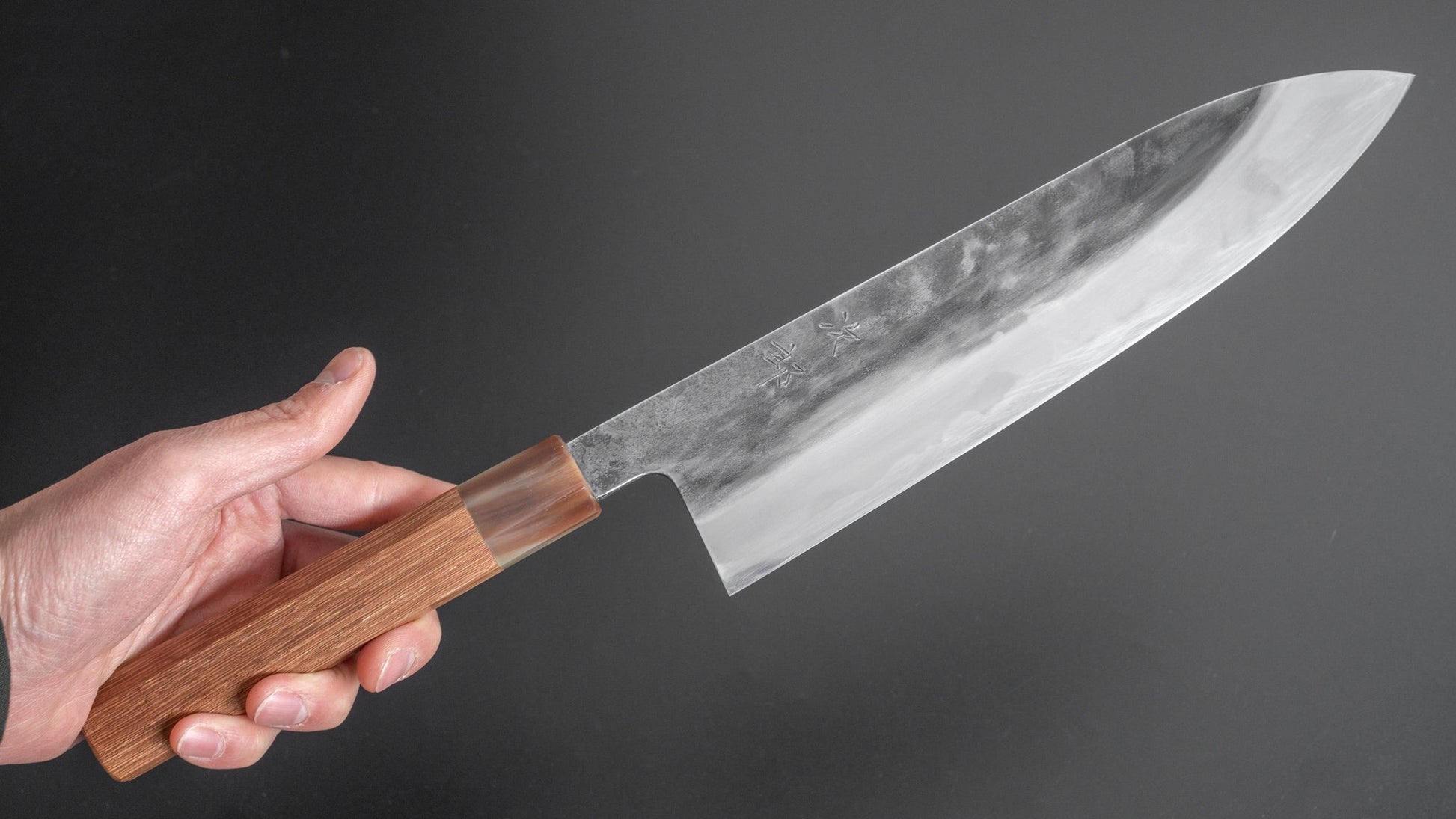 Jiro Tsuchime Wa Gyuto 240mm Taihei Tagayasan Handle (#217) - HITOHIRA