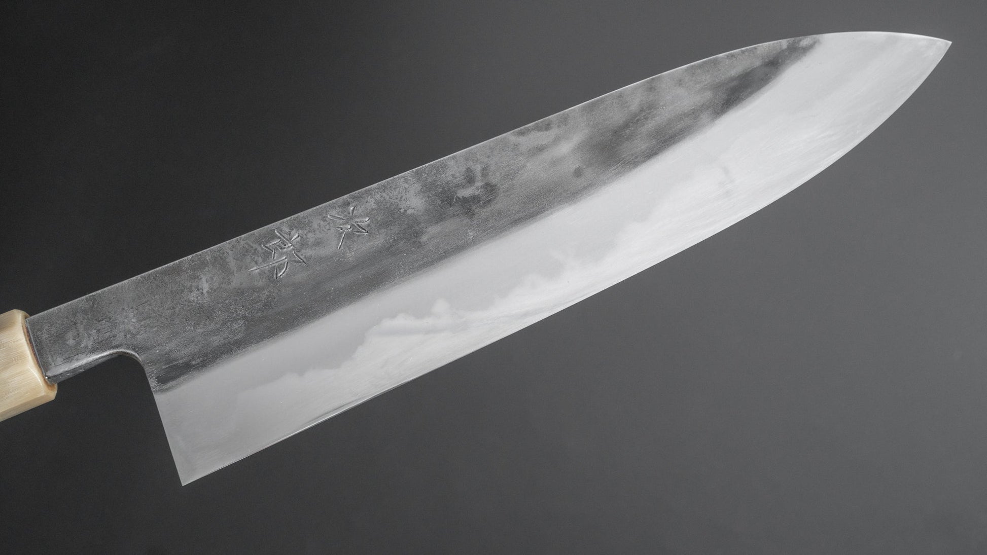 Jiro Tsuchime Wa Gyuto 240mm Taihei Tagayasan Handle (#219) - HITOHIRA