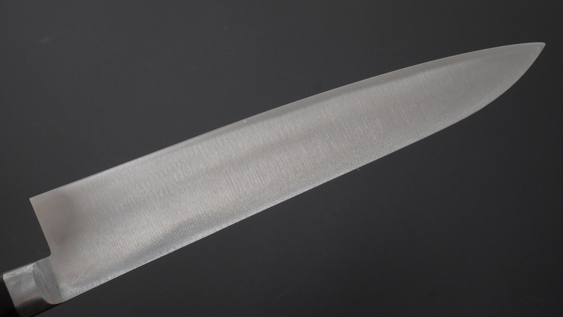 Morihei Hisamoto Hagane Gyuto 240mm Pakka Handle - HITOHIRA