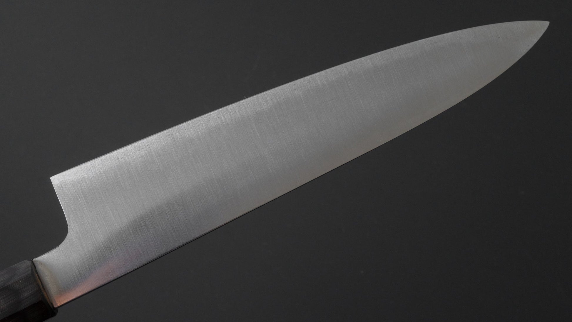 Kiyoshi Kato Migaki Blue #2 Gyuto 240mm Ho Wood Handle (Kamon) | HITOHIRA