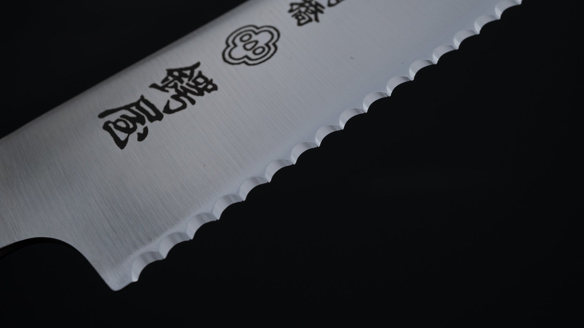 Tsubaya Bread Knife 210mm Stainless Handle - HITOHIRA