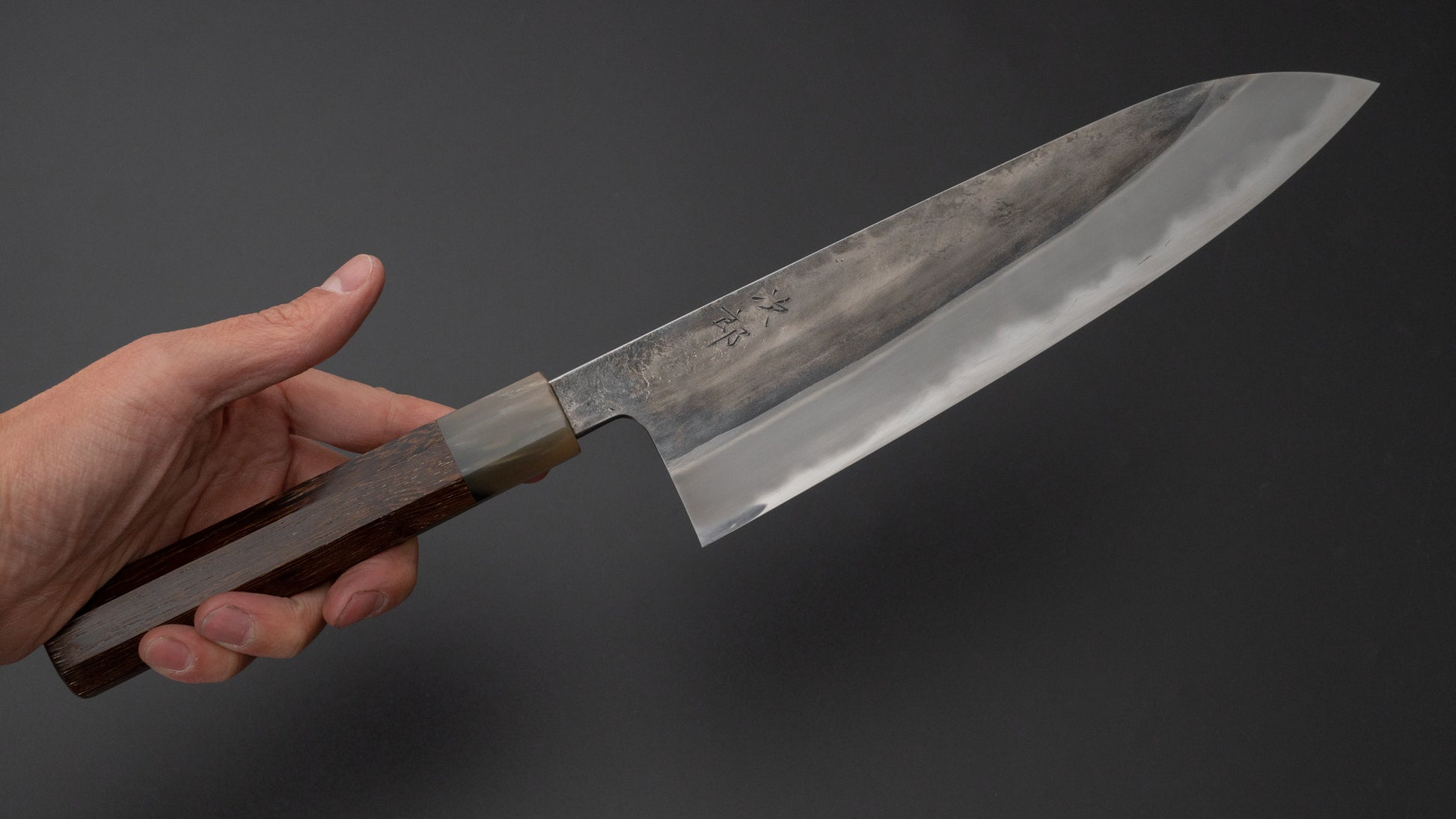 Jiro Tsuchime Wa Gyuto 225mm Taihei Tagayasan Handle (#462) - HITOHIRA