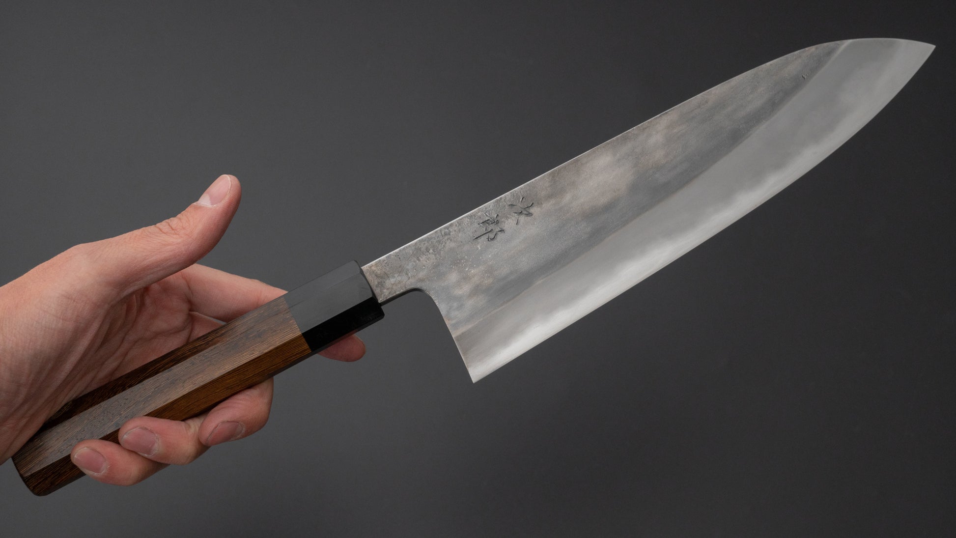 Jiro Tsuchime Wa Gyuto 225mm Taihei Tagayasan Handle (#463) - HITOHIRA