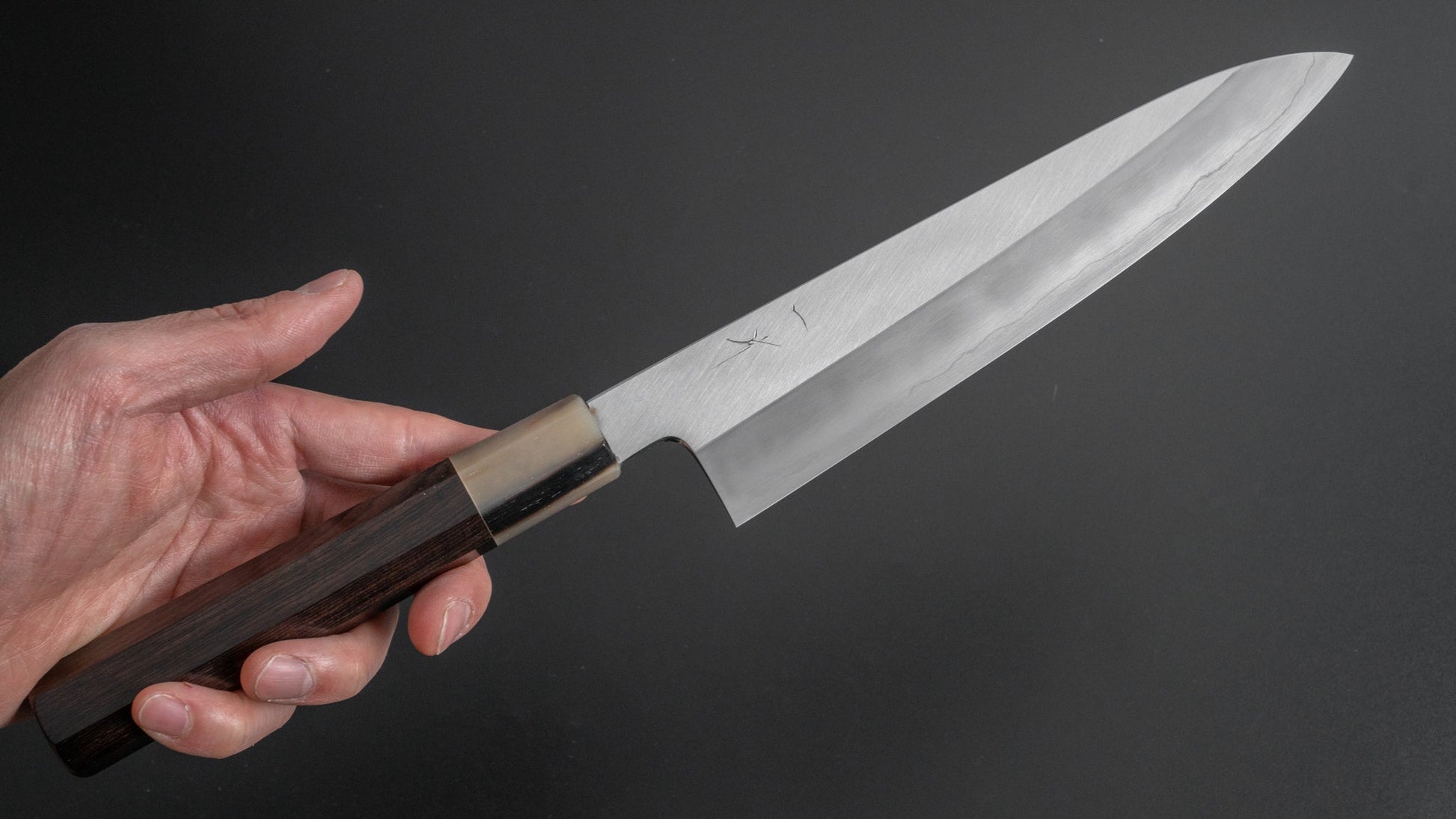 Hitohira Kikuchiyo Kyuzo Silver #3 Migaki Gyuto 210mm Ebony Handle - HITOHIRA