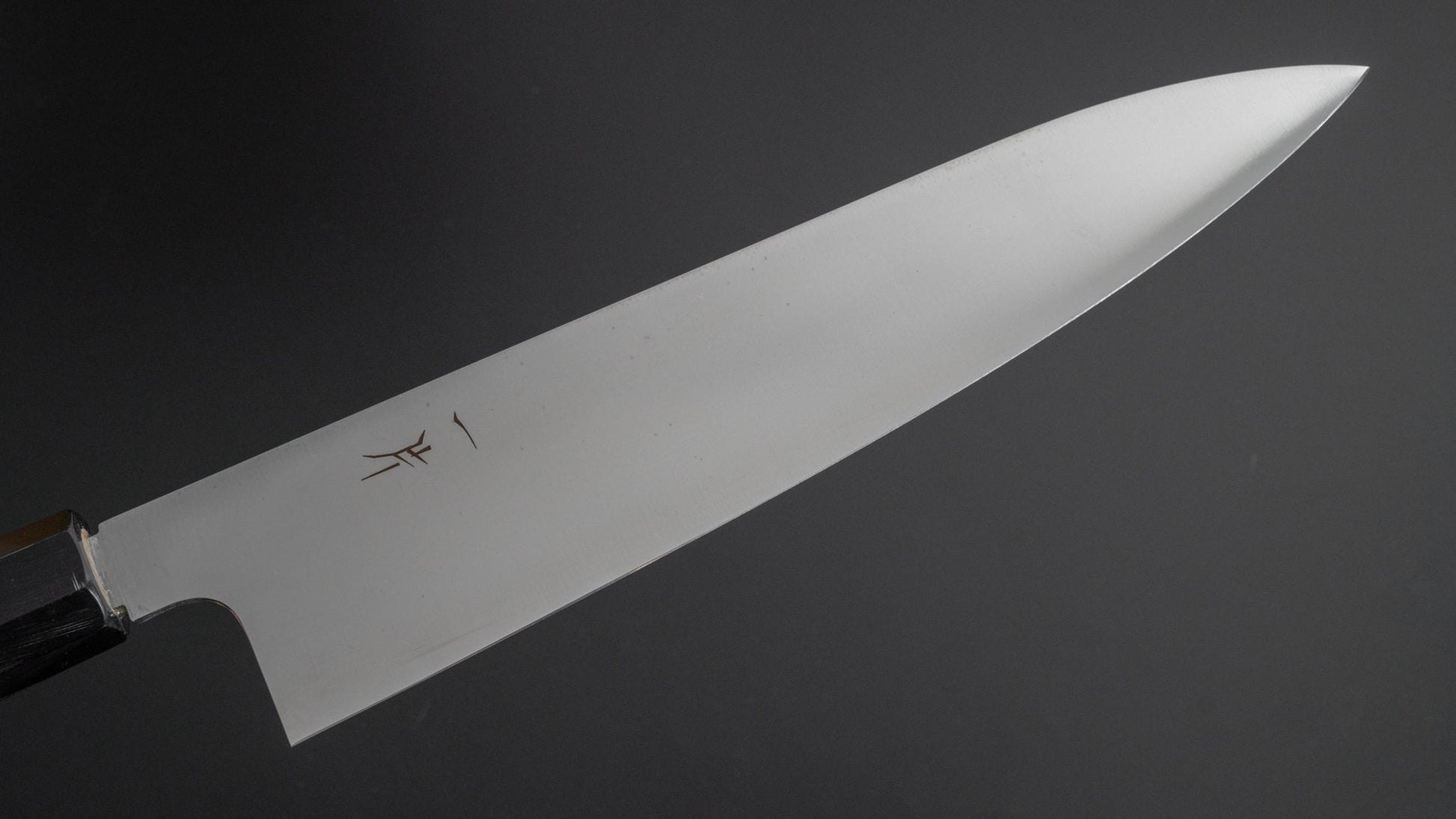 Hitohira FJ VG-10 Gyuto 240mm Ho Wood Handle (Wa) - HITOHIRA