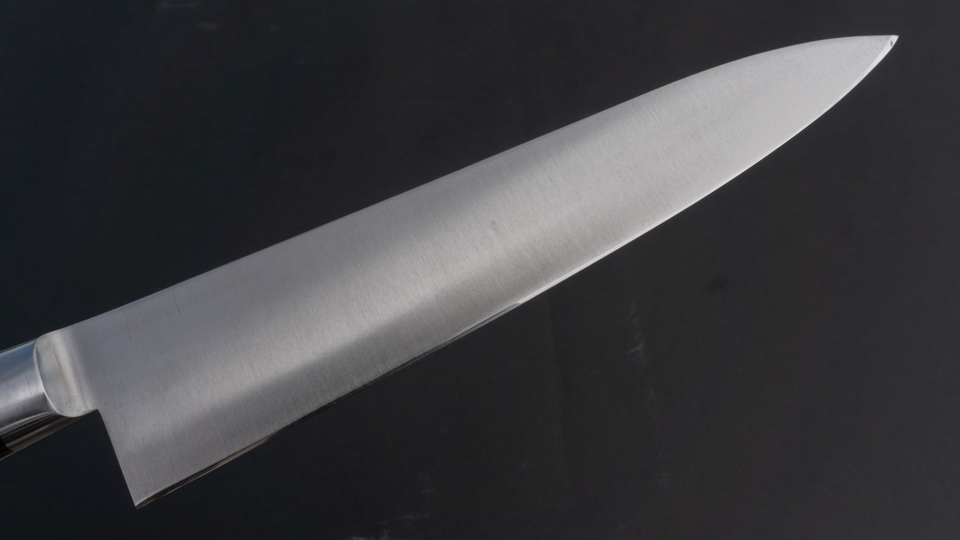 Mumei Stainless Gyuto 210mm Pakka Handle | HITOHIRA