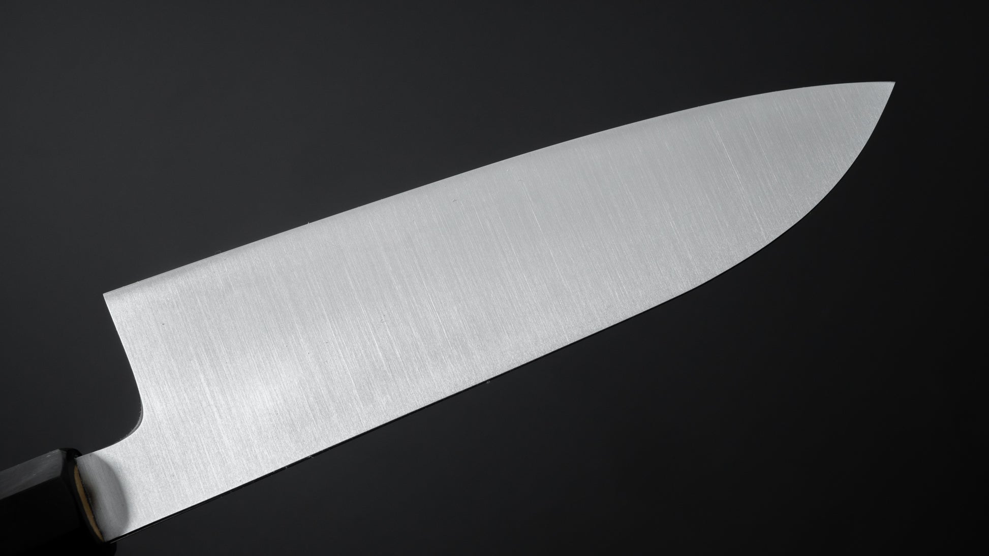 Takada no Hamono White #2 HH Santoku 180mm Ho Wood Handle - HITOHIRA