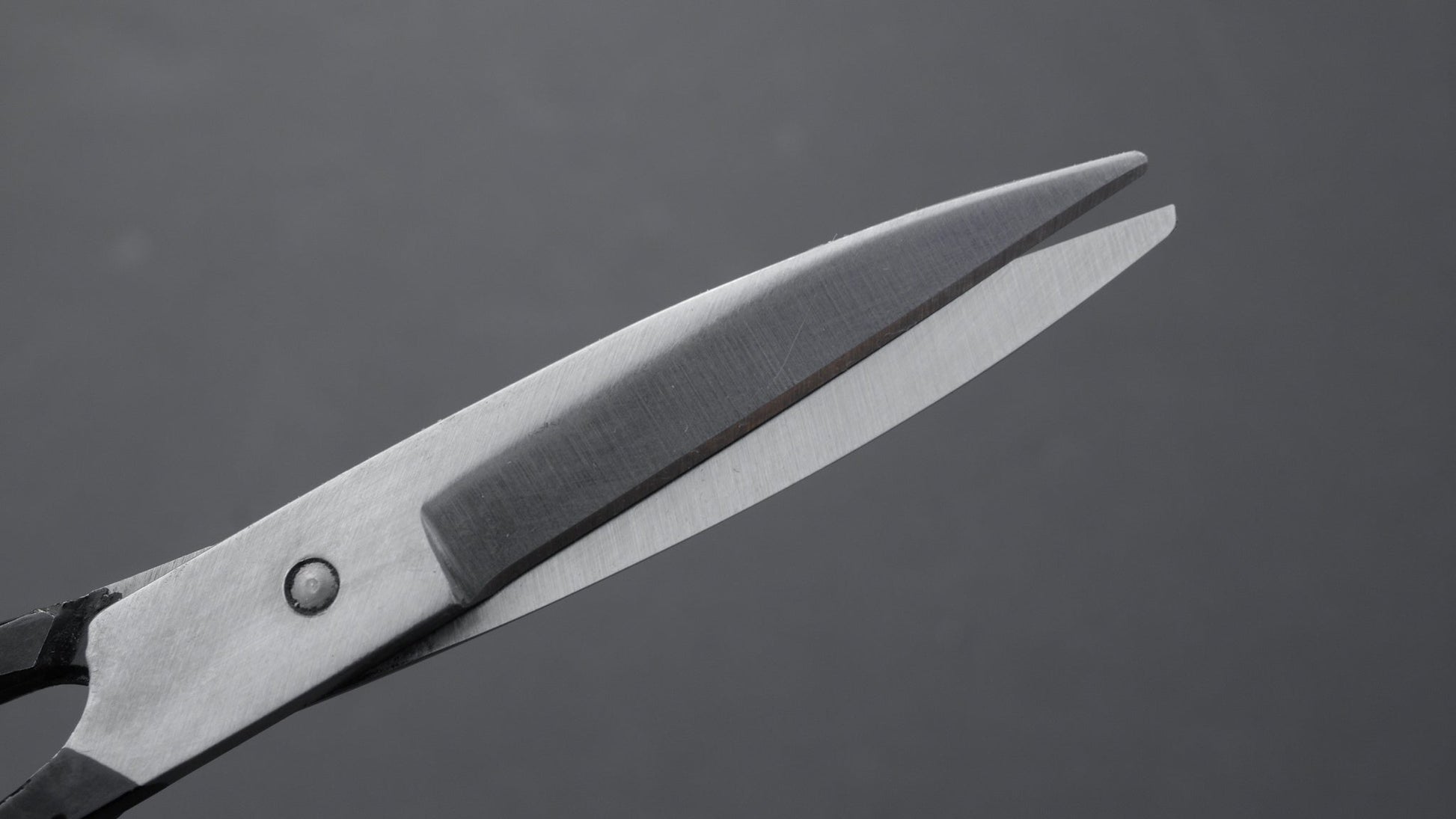 Morihei NOS Hakata Shears 160mm | HITOHIRA