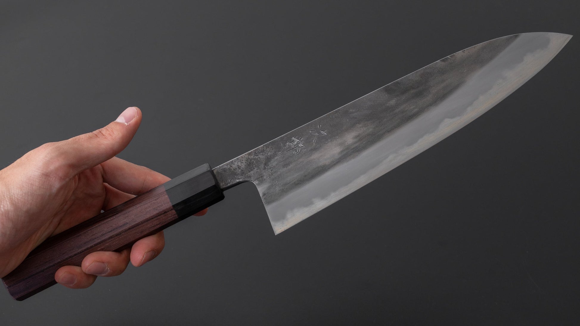 Jiro Tsuchime Wa Gyuto 225mm Taihei Tagayasan Handle (#154) - HITOHIRA