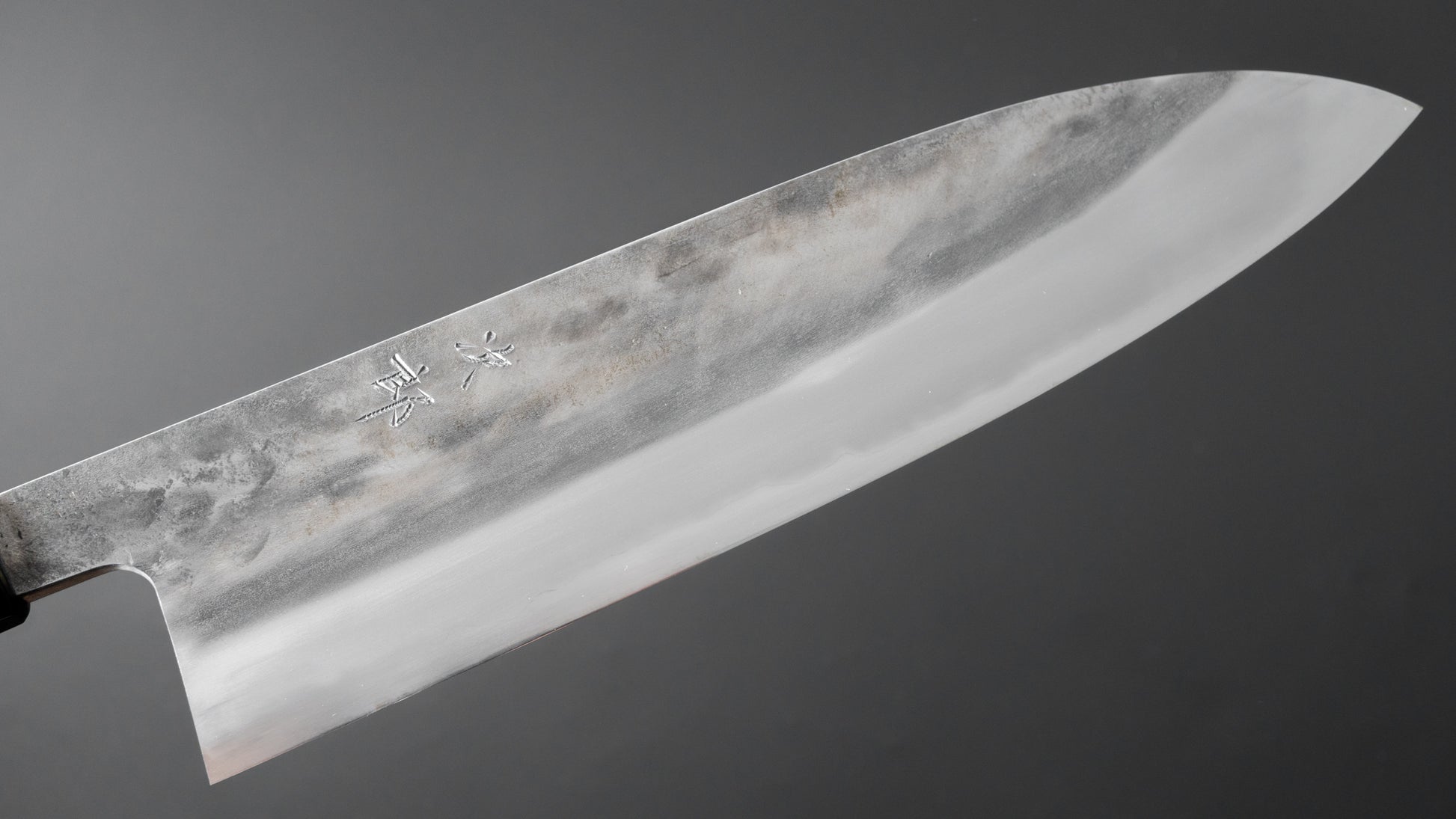 Jiro Tsuchime Wa Gyuto 240mm Taihei Tagayasan Handle (#361) - HITOHIRA