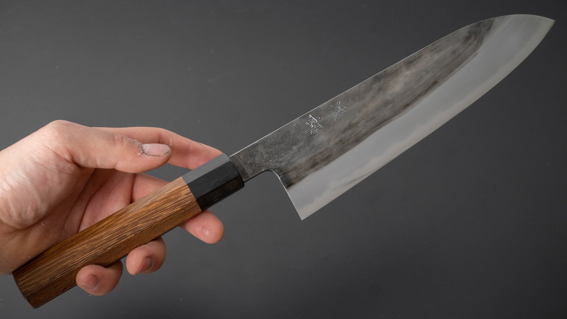 Jiro Tsuchime Wa Gyuto 225mm Taihei Tagayasan Handle (#373) - HITOHIRA