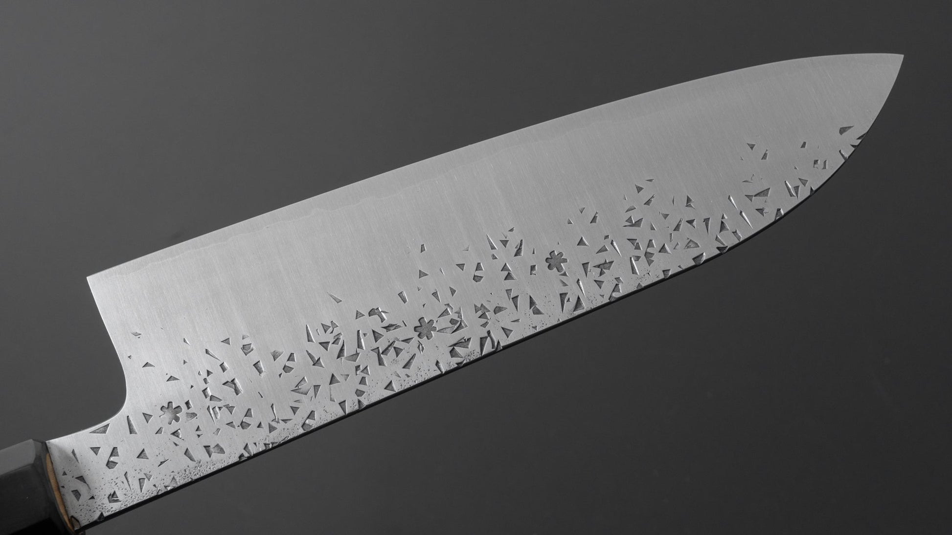 Takada no Hamono Silver #3 HH Reika Santoku 210mm Ho Wood Handle - HITOHIRA