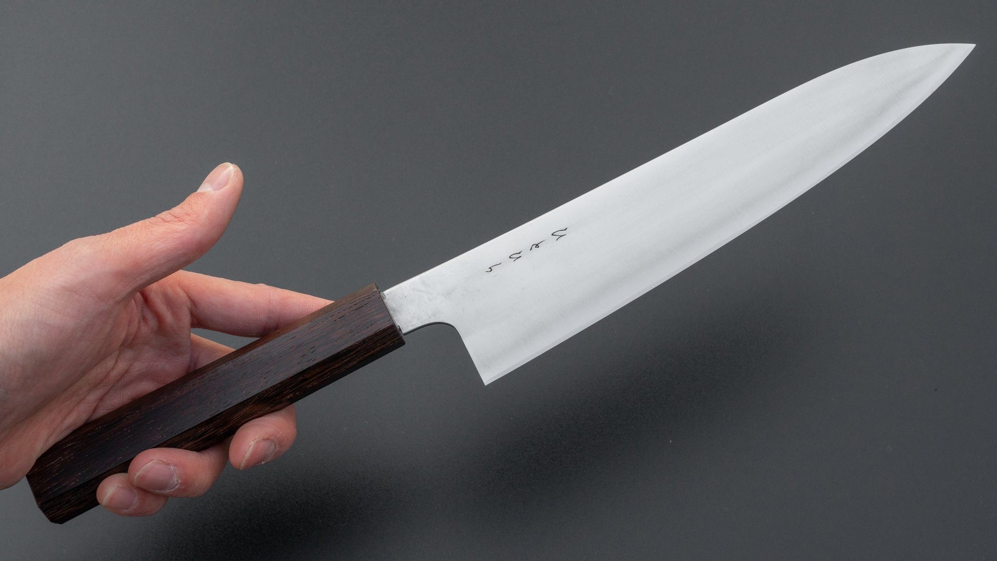 Hitohira KH Stainless Gyuto 210mm Wenge Handle (Mono) | HITOHIRA