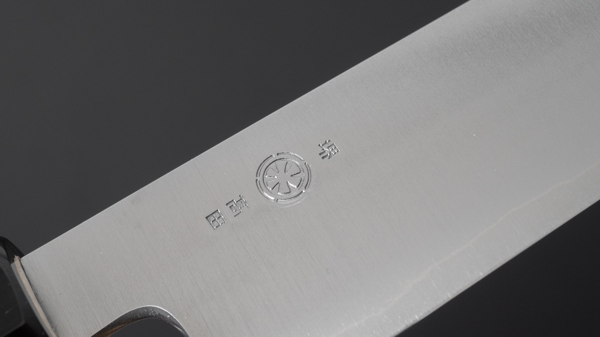 Takada no Hamono Silver #3 HH Sujihiki 270mm Ho Wood Handle - HITOHIRA