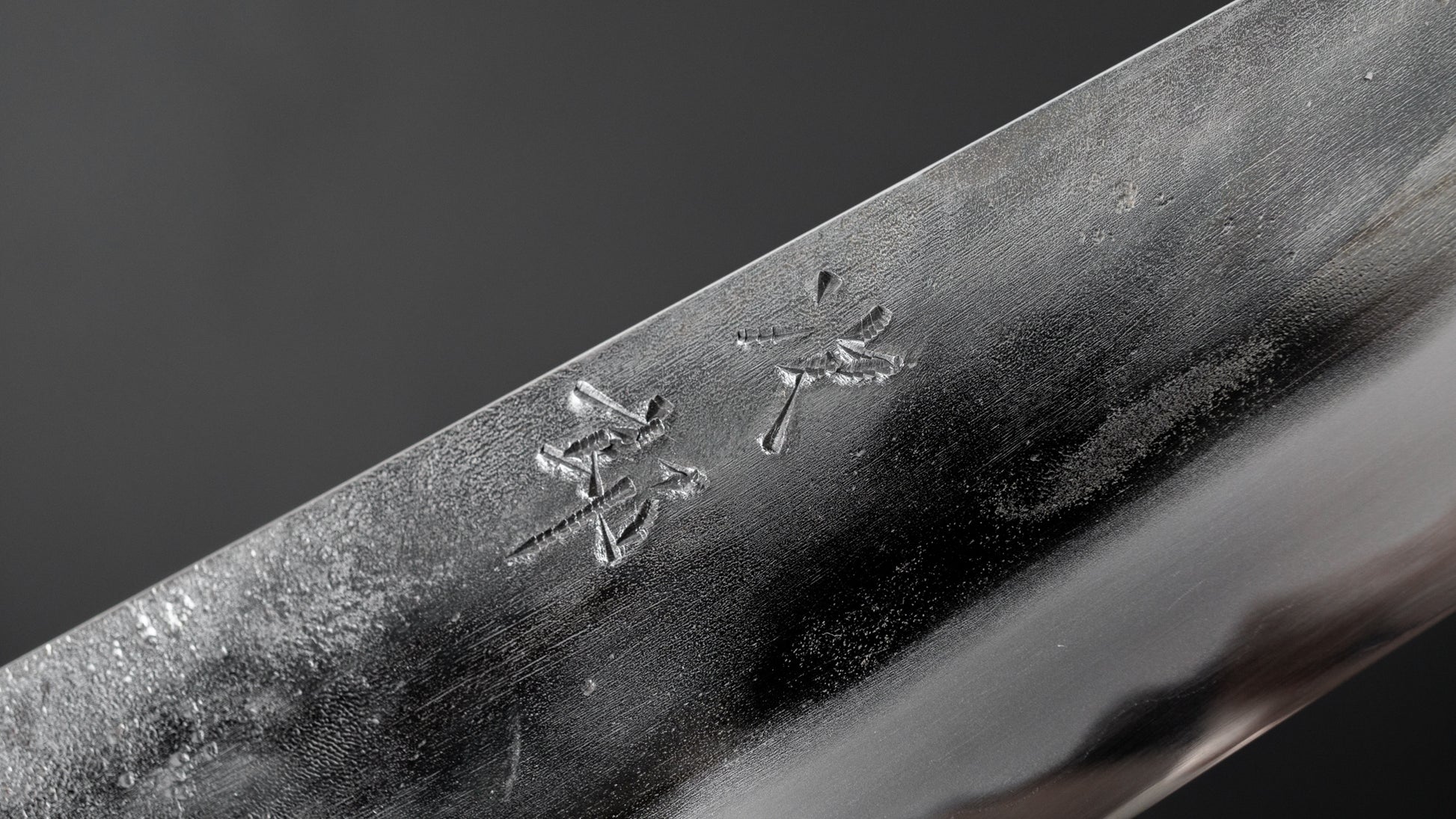 Jiro Tsuchime Wa Sujihiki 210mm Taihei Tagayasan Handle (#375) - HITOHIRA