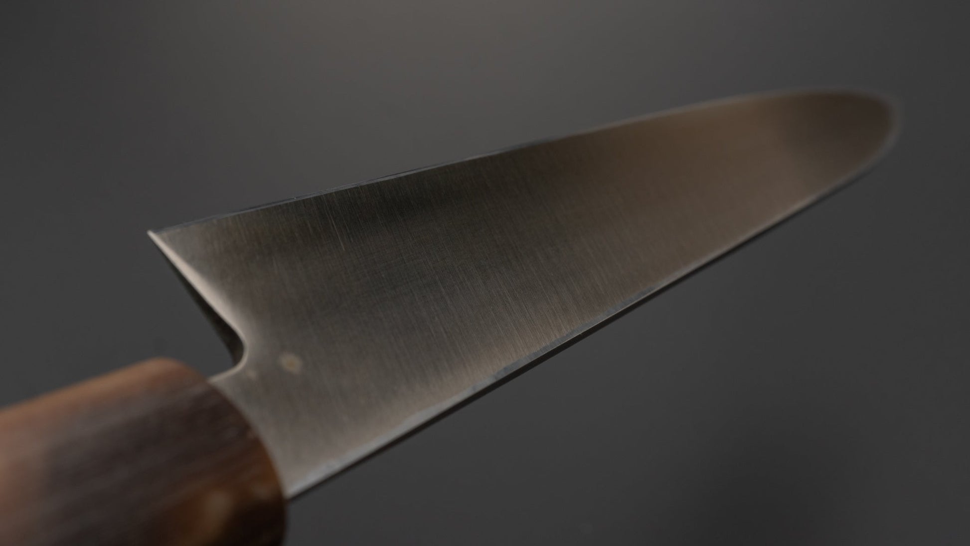 Kogetsu NOS Stainless Yanagiba 270mm Ho Wood Handle | HITOHIRA