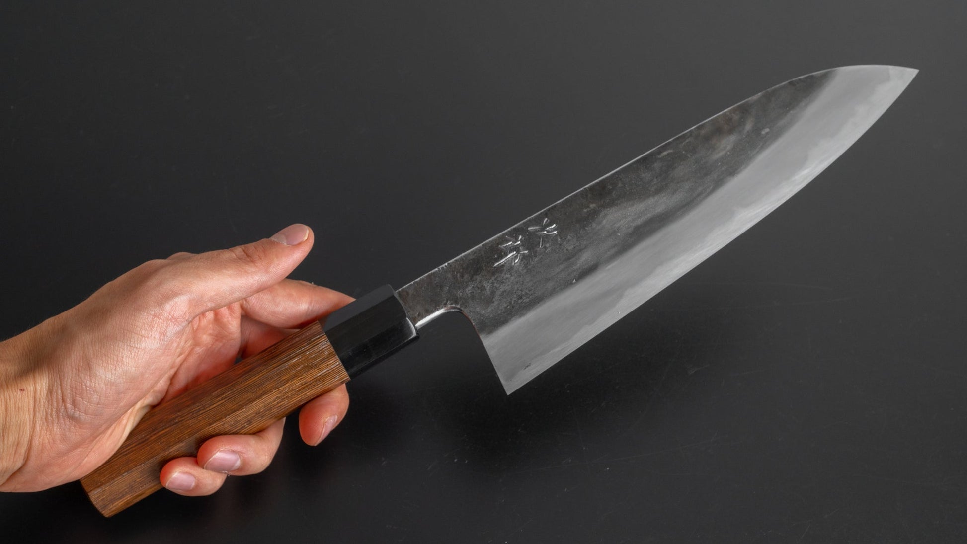 Jiro Tsuchime Wa Gyuto 210mm Taihei Tagayasan Handle (#166) - HITOHIRA