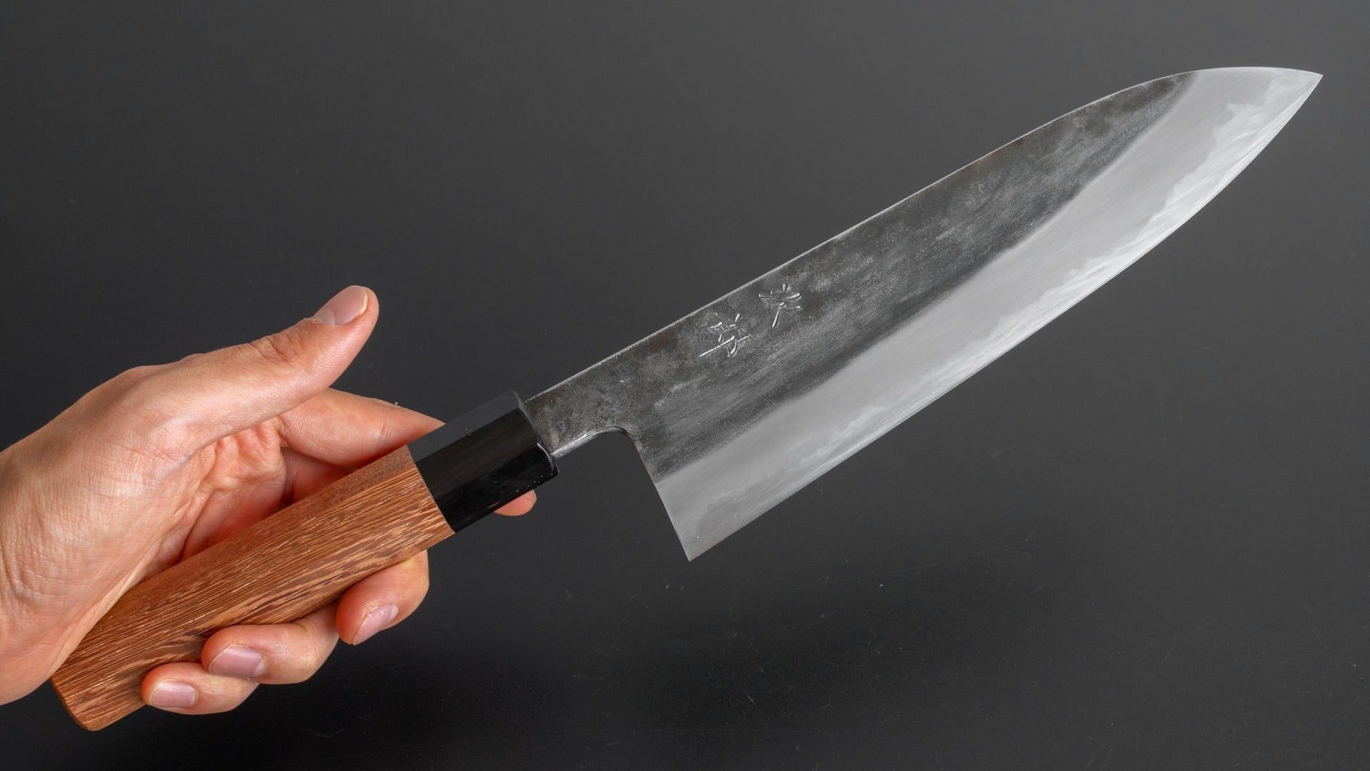 Jiro Tsuchime Wa Gyuto 210mm Taihei Tagayasan Handle (#167) - HITOHIRA