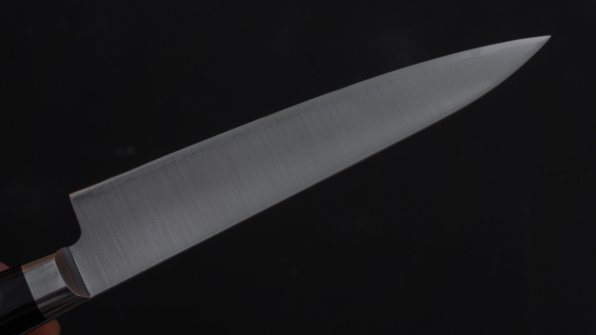 Hitohira T10 Migaki Petty 130mm Pakka Handle | HITOHIRA