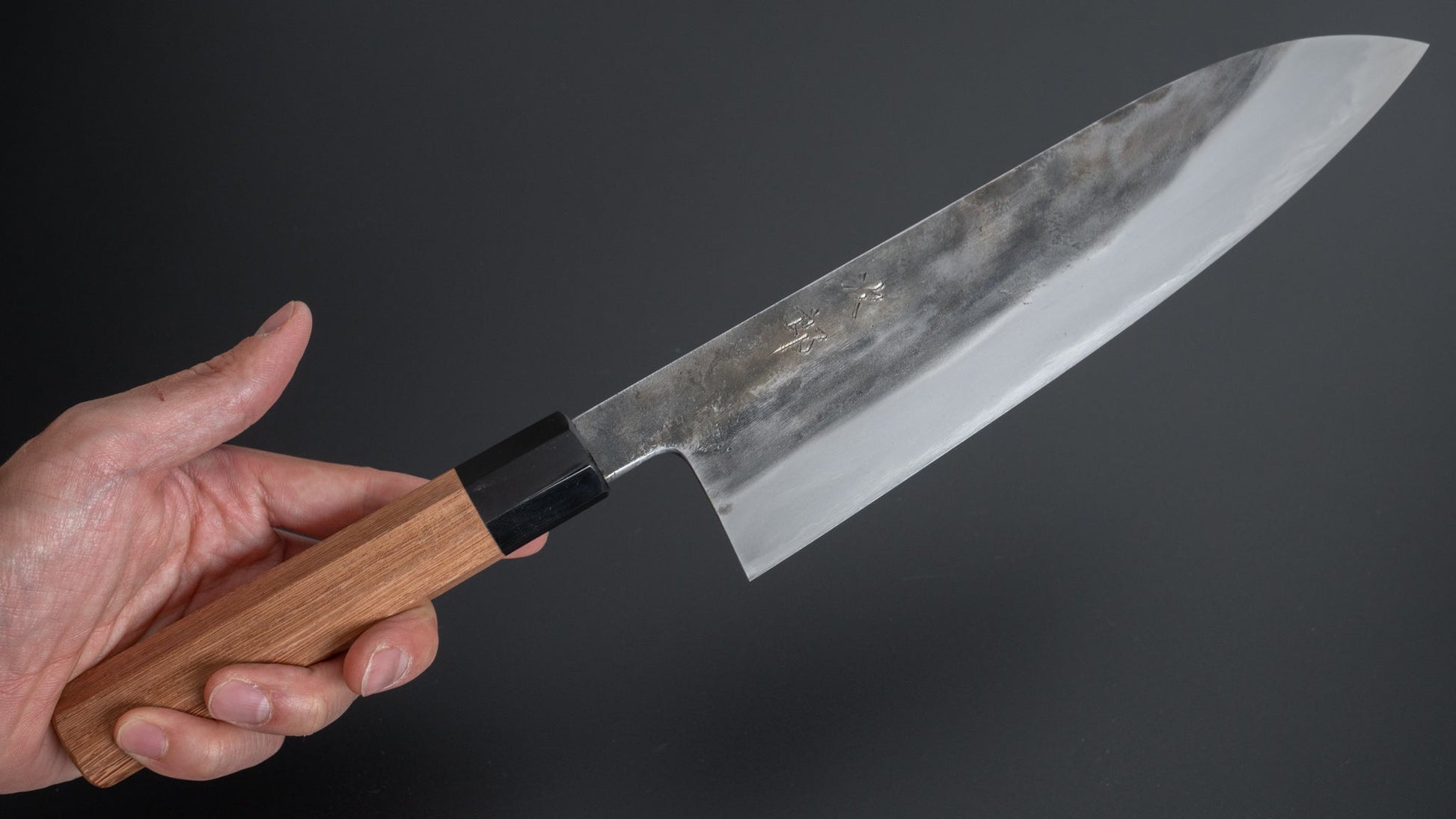 Jiro Tsuchime Wa Gyuto 225mm Taihei Tagayasan Handle (#261) - HITOHIRA