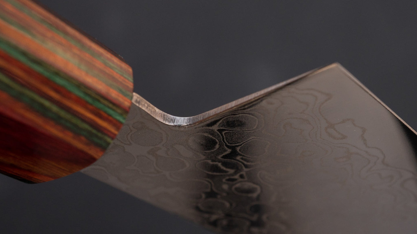 Hitohira HG Damascus Gyuto 210mm Satine Handle (Rainbow) | HITOHIRA