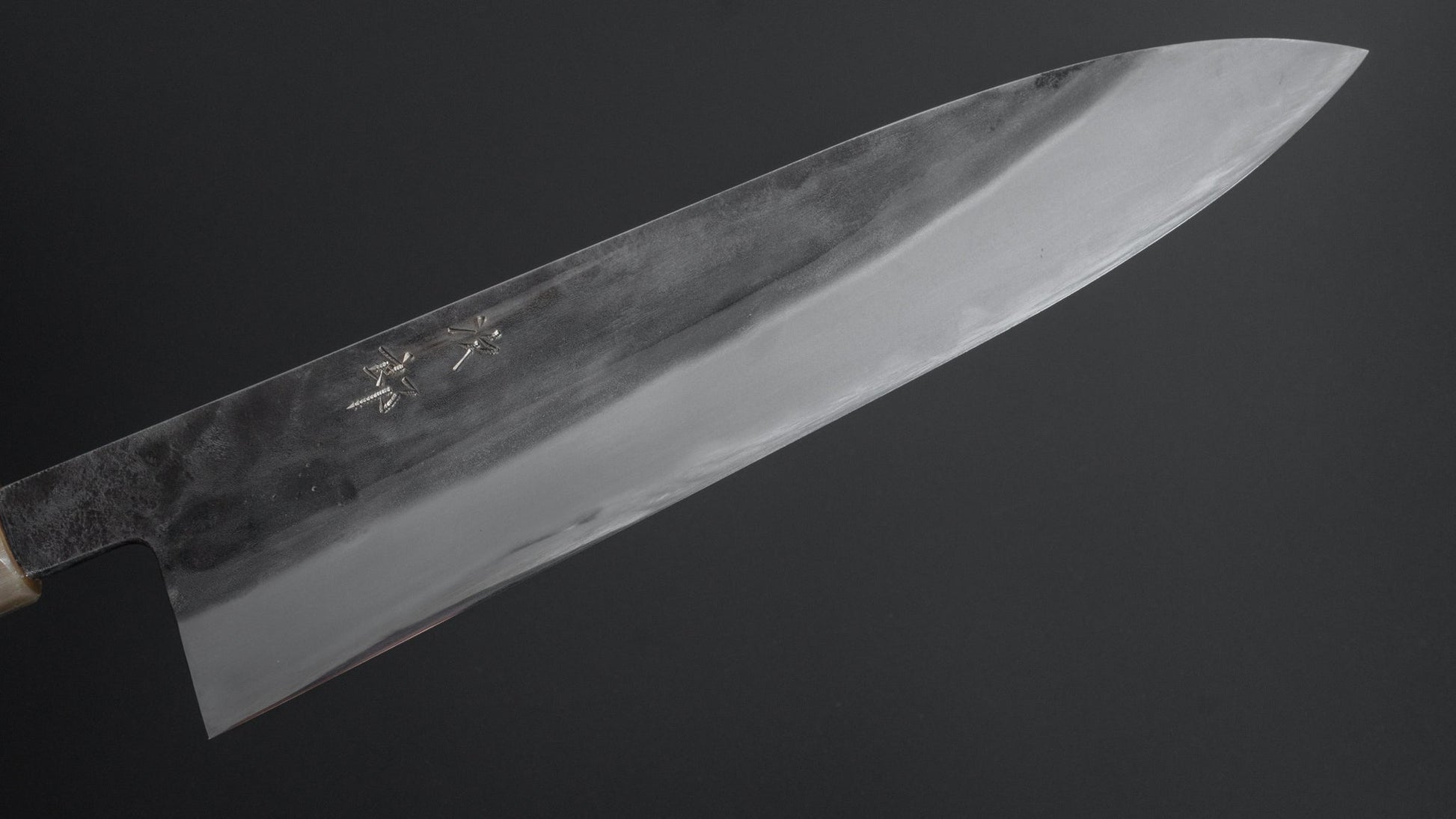 Jiro Tsuchime Wa Gyuto 255mm Taihei Tagayasan Handle (#269) - HITOHIRA