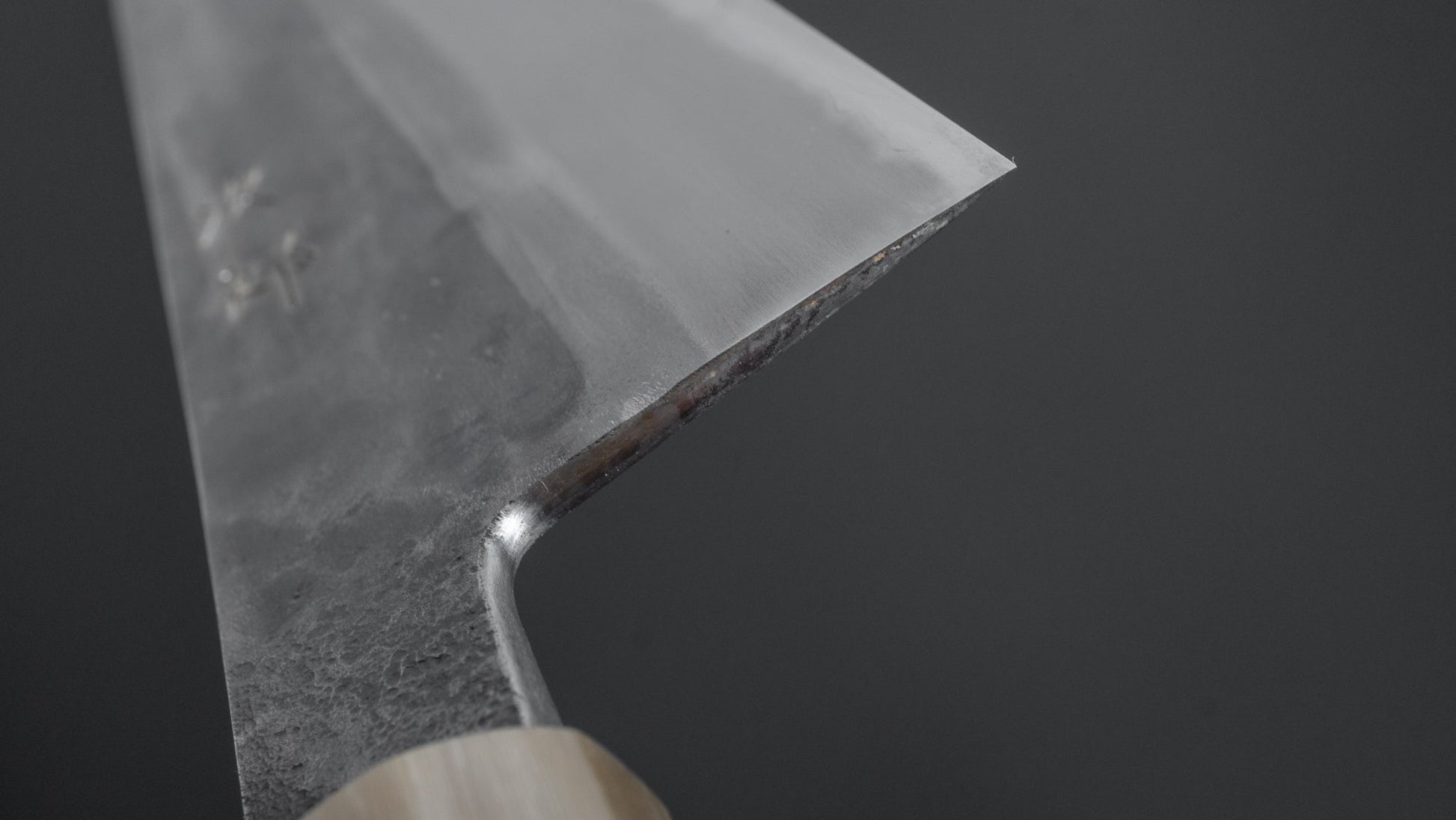 Jiro Tsuchime Wa Gyuto 255mm Taihei Tagayasan Handle (#269) - HITOHIRA