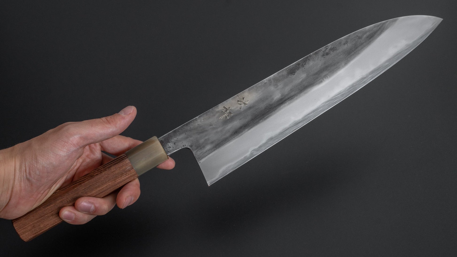 Jiro Tsuchime Wa Gyuto 270mm Taihei Tagayasan Handle (#271) - HITOHIRA