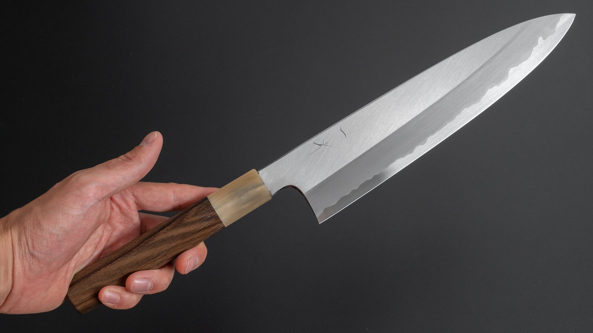 Hitohira Togashi White #1 Stainless Clad Migaki Gyuto 240mm Ziricote Handle - HITOHIRA