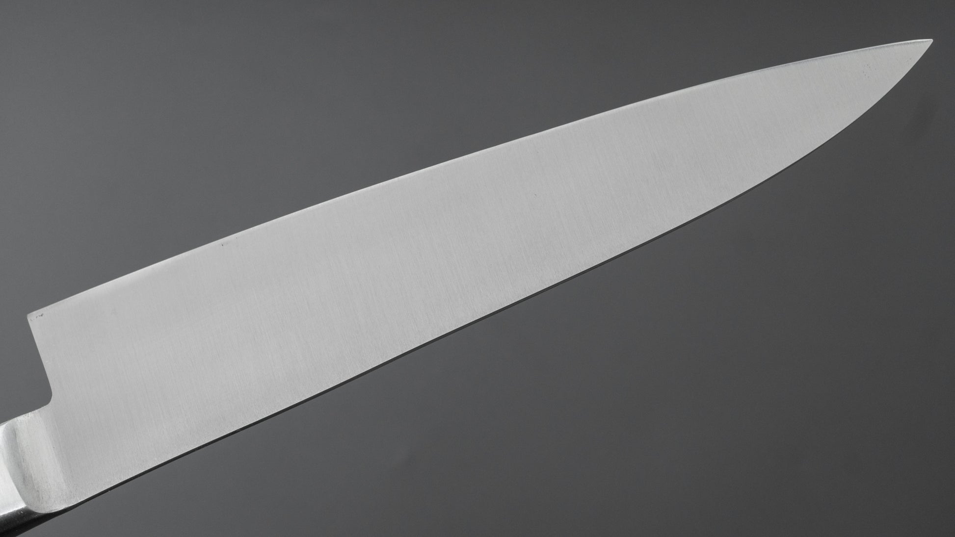 Fujiwara Kanefusa SK High Carbon Gyuto 180mm Pakka Handle - HITOHIRA