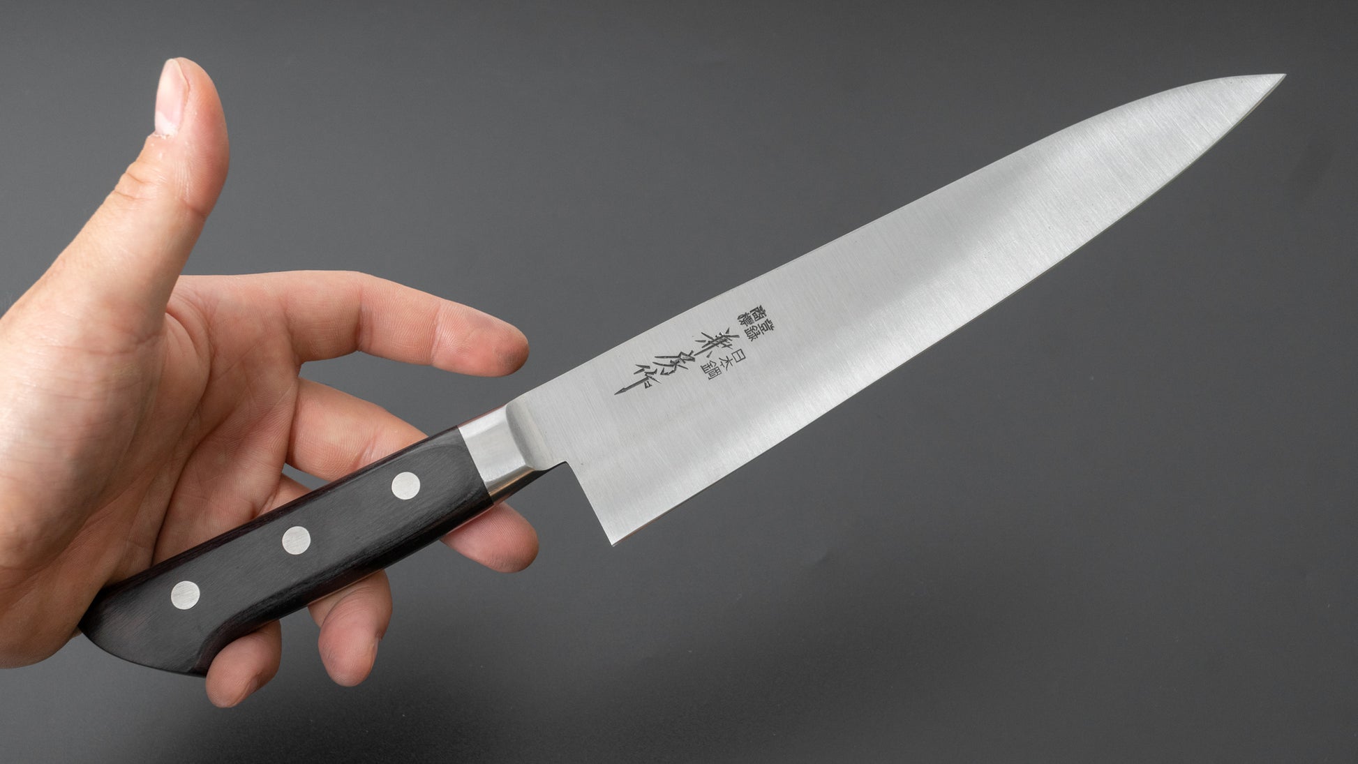 Fujiwara Kanefusa SK High Carbon Gyuto 210mm Pakka Handle - HITOHIRA