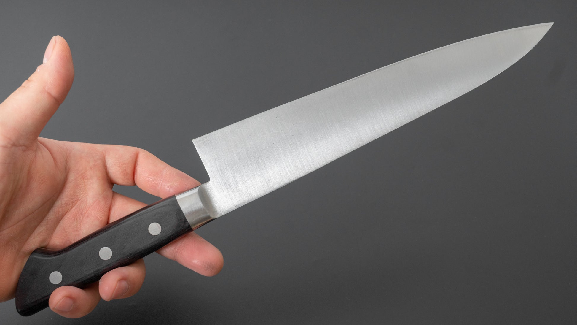 Fujiwara Kanefusa SK High Carbon Gyuto 210mm Pakka Handle - HITOHIRA