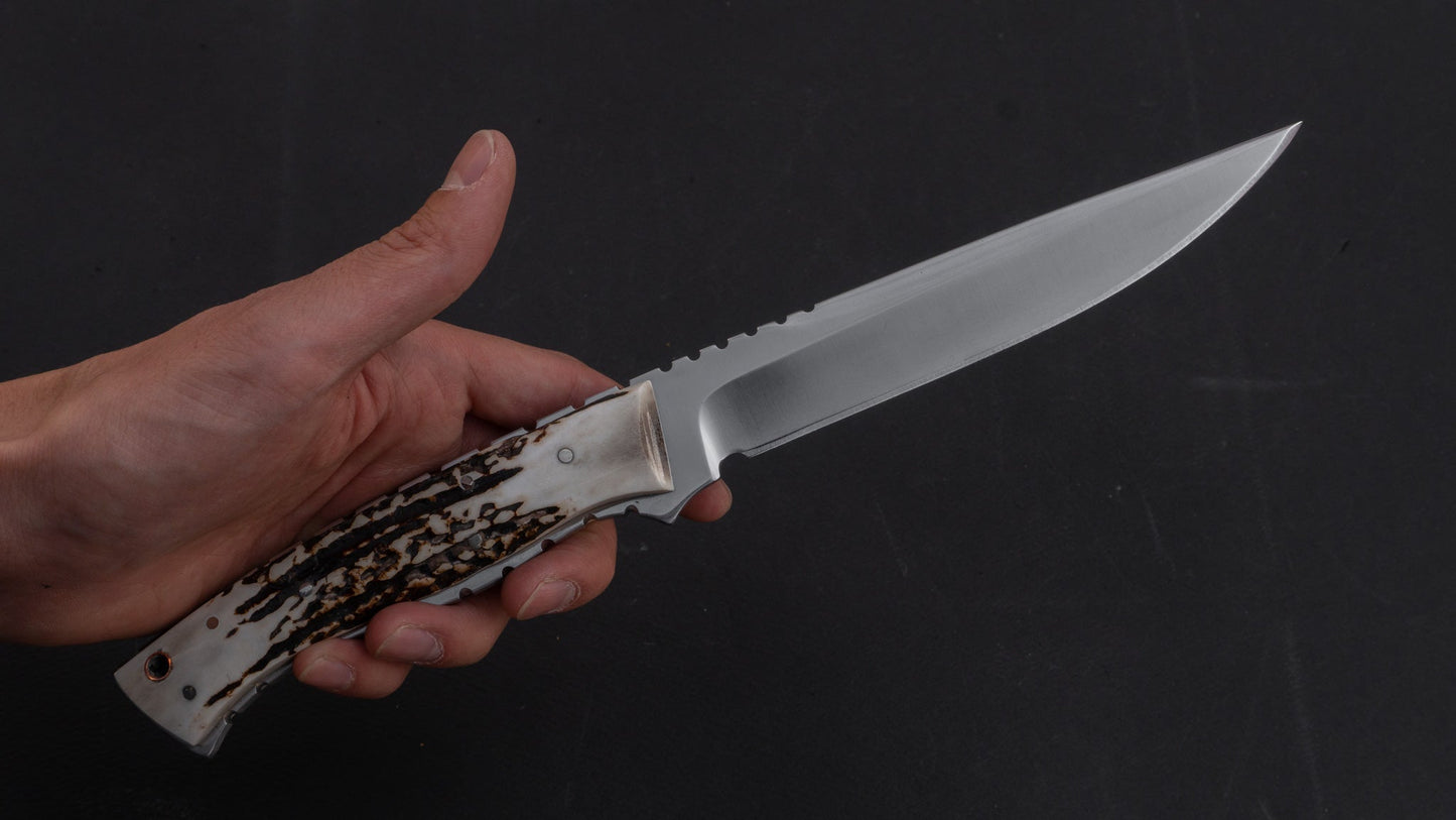 Fukuta ATS Hunting Fixed Blade 150mm Stag Handle | HITOHIRA