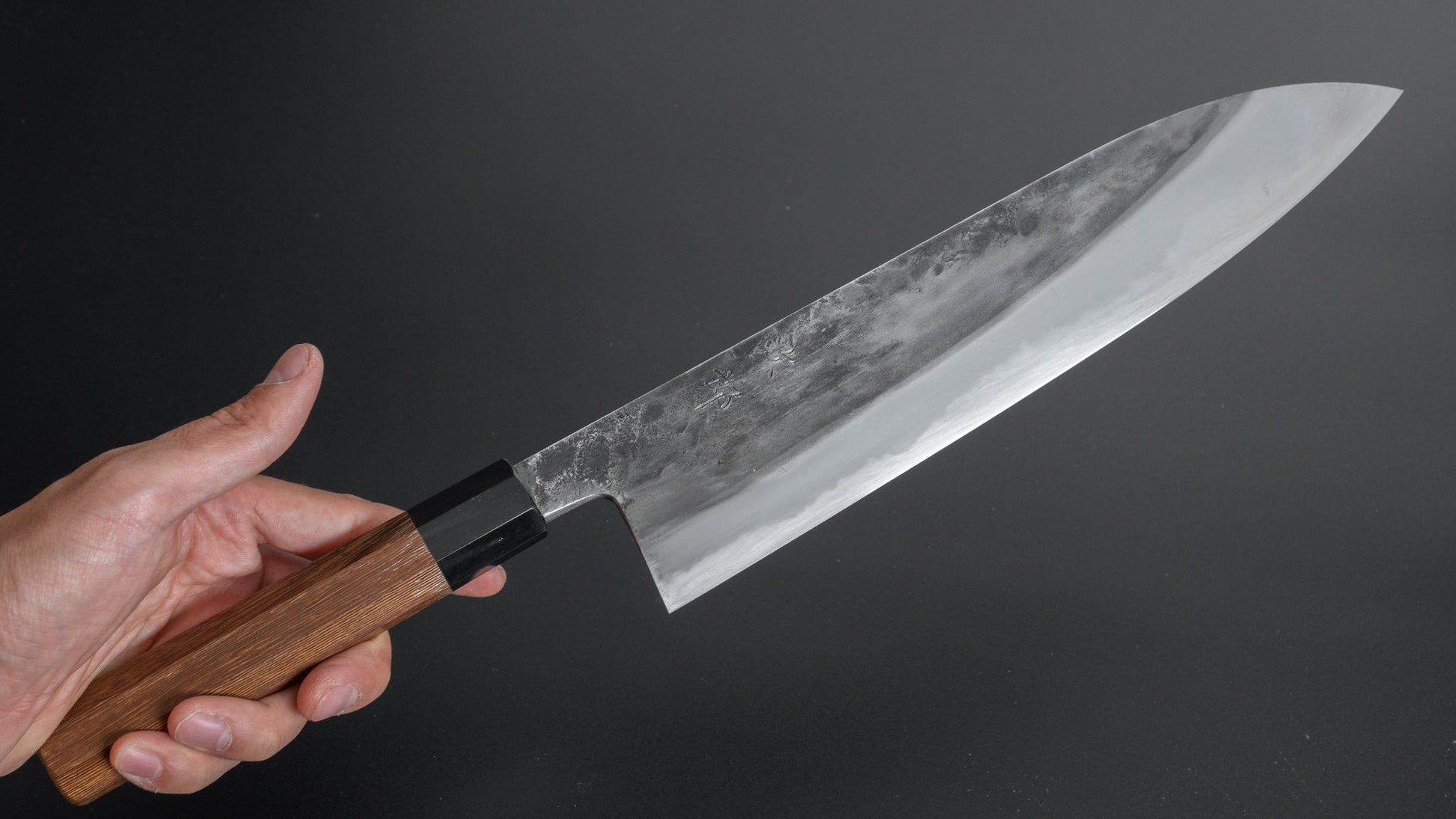 Jiro Tsuchime Wa Gyuto 270mm Taihei Tagayasan Handle (#278) - HITOHIRA