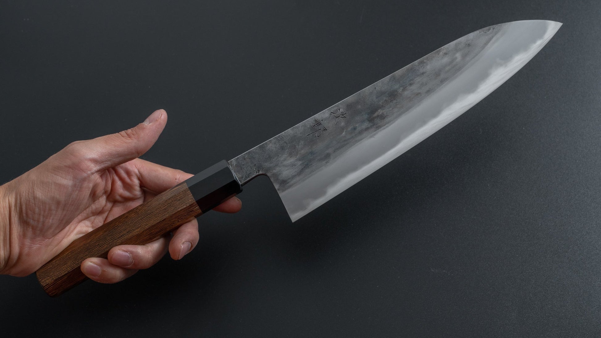 Jiro Tsuchime Wa Gyuto 225mm Taihei Tagayasan Handle (#282) - HITOHIRA