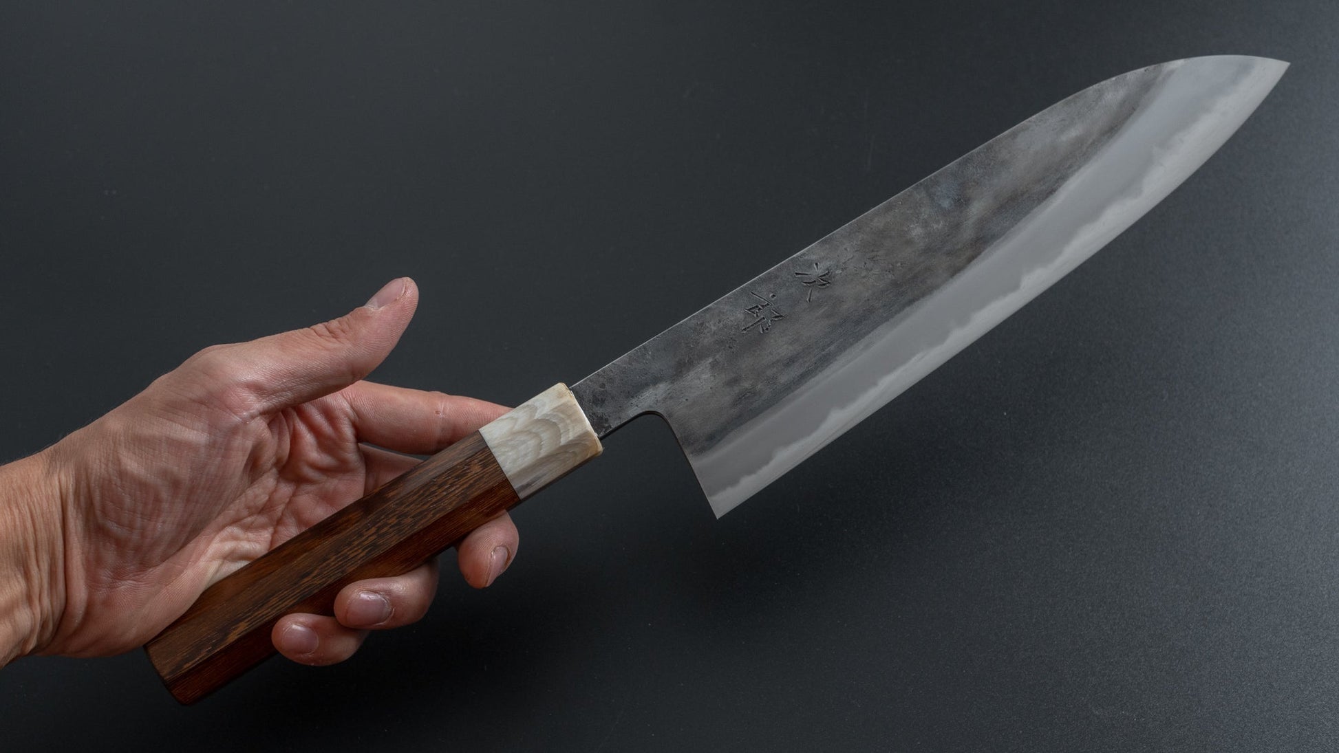 Jiro Tsuchime Wa Gyuto 225mm Taihei Tagayasan Handle (#283) - HITOHIRA